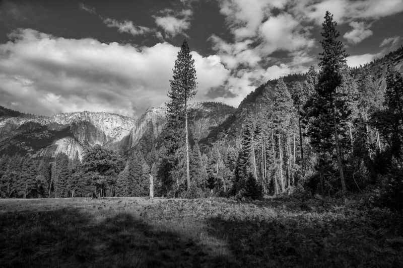 A black and white landscape photograph of the Yosemite Valley on an autumn morning in Yosemite National Park, California.