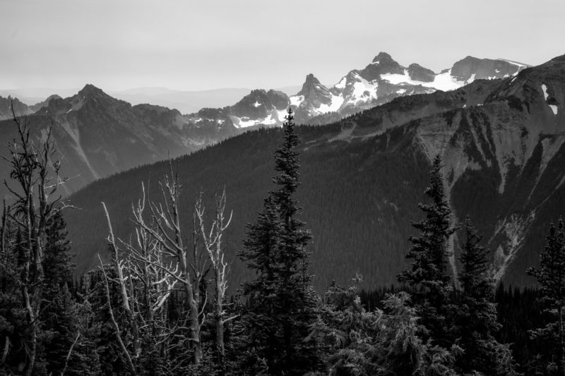 A black and white landscape photograph of the forested valley of the White River across from the Cowlitz Chinmeys in Mt. Rainier National Park, Washington.