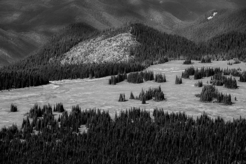 A black and white intimate landscape photograph of the Grand Park as viewed from the Mt. Fremont Lookout in Mt. Rainier National Park, Washington.