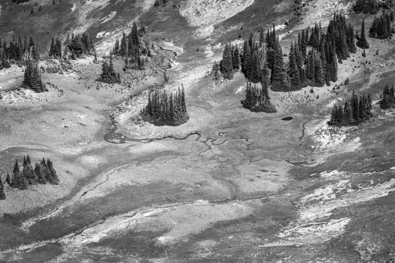 A black and white intimate landscape photograph of the meadows below the Mt. Fremont Lookout Grand Park in Mt. Rainier National Park, Washington.