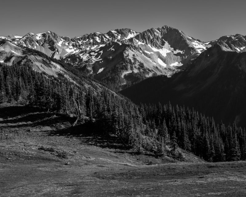 A black and white landscape photograph of the mountains and alpine areas near Obstruction Point in the Olympic National Park, Washington.
