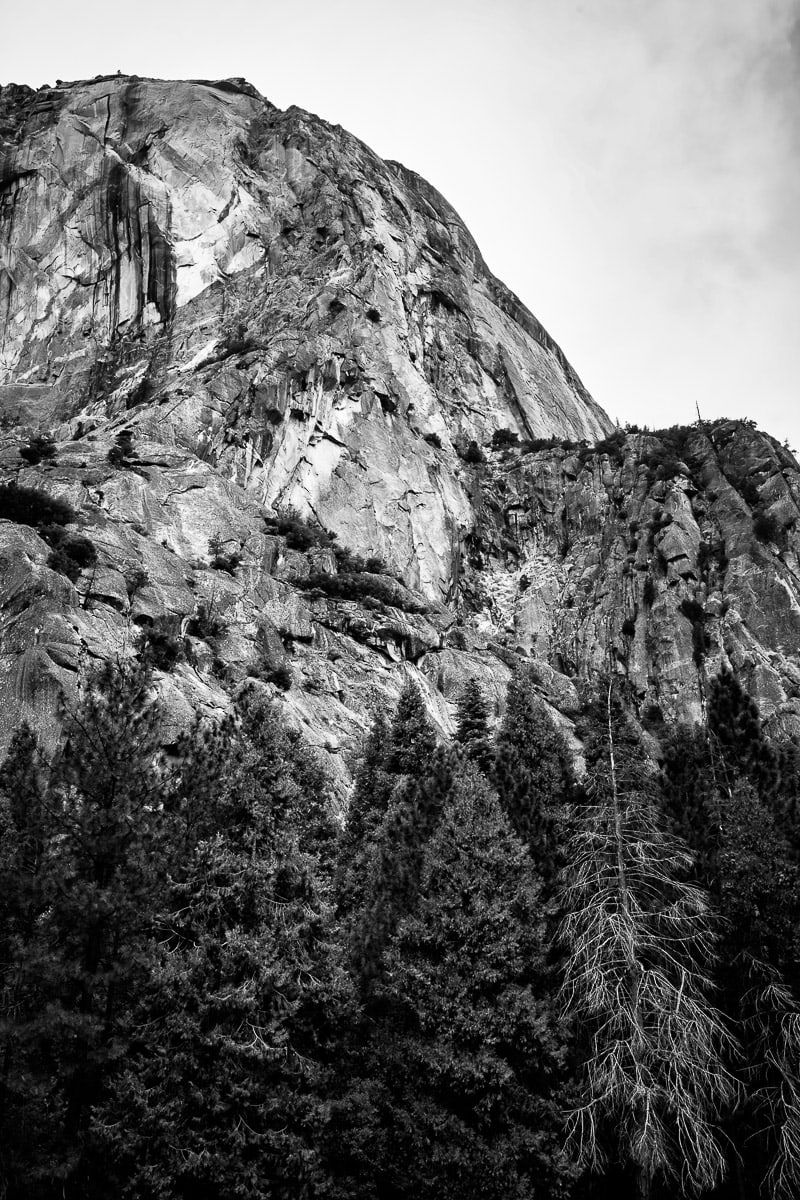 A black and white close up landscape photograph of a rock face on an autumn morning in Yosemite National Park, California.