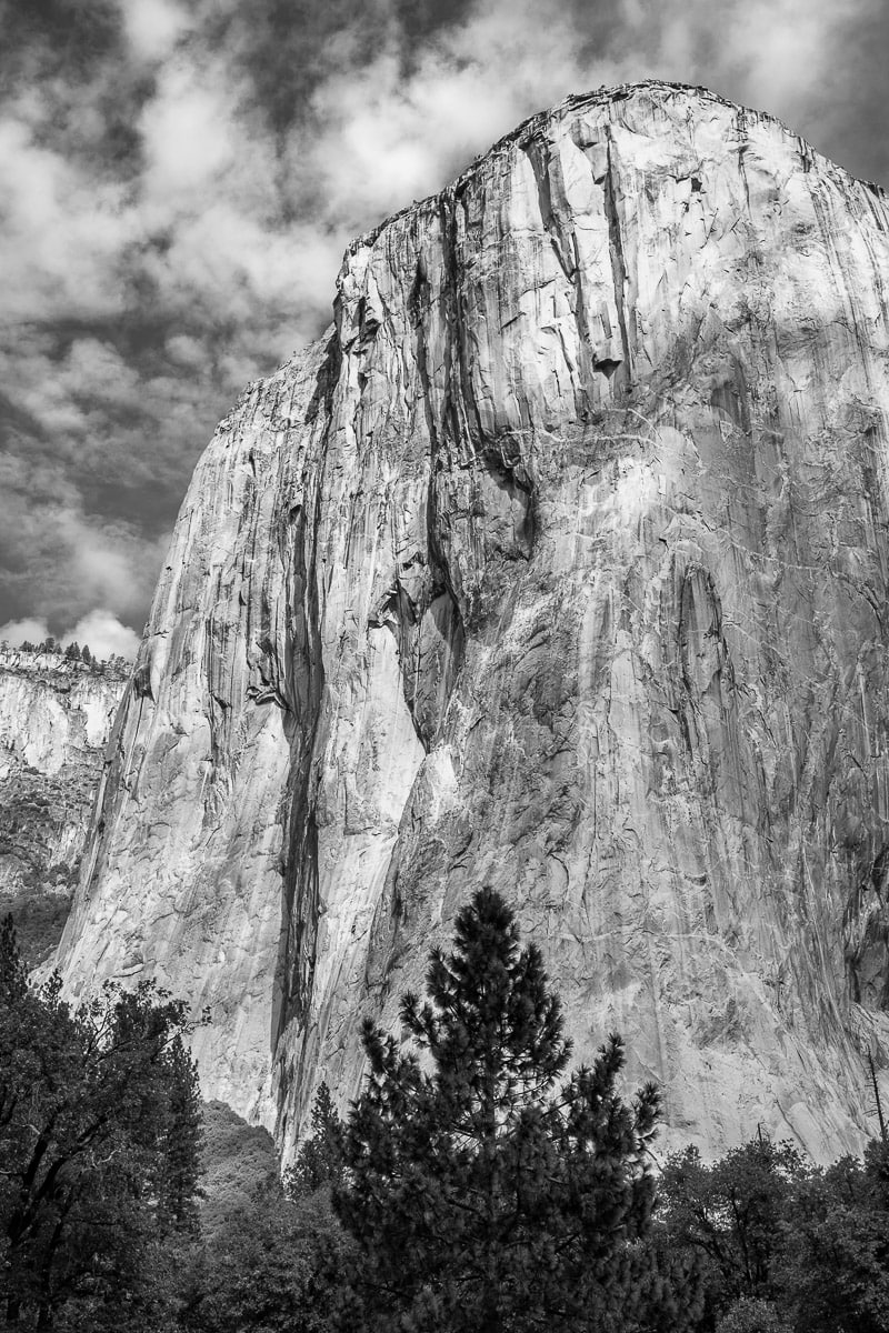 A black and white landscape photograph of El Capitan on an autumn morning in Yosemite National Park, California.