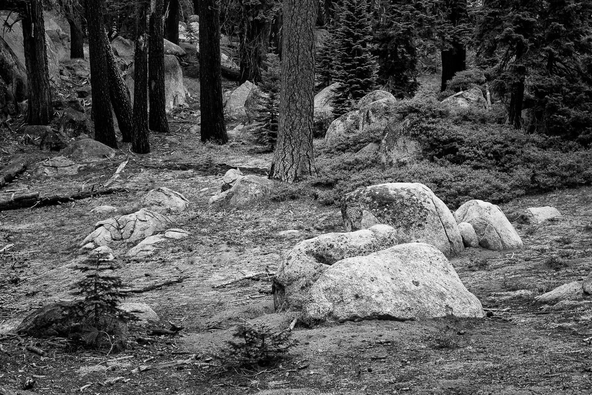 A black and white intimate landscape photograph of rocks in the forest at Yosemite National Park, California on an Autumn evening.