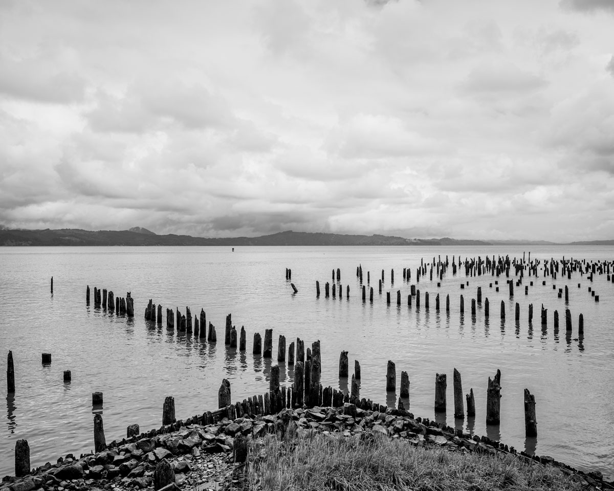 A black and white landscape photograph of old dock pilings on the Columbia River along the Astoria, Oregon waterfront.
