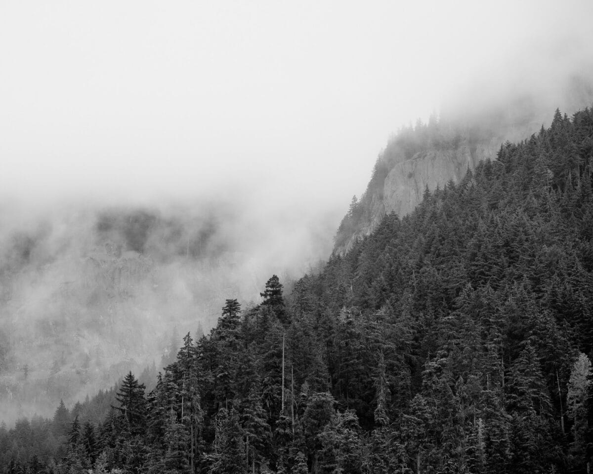 A black and white landscape photograph of a fog covered ridge above Hucklebeery Creek near Greenwater, Washington.