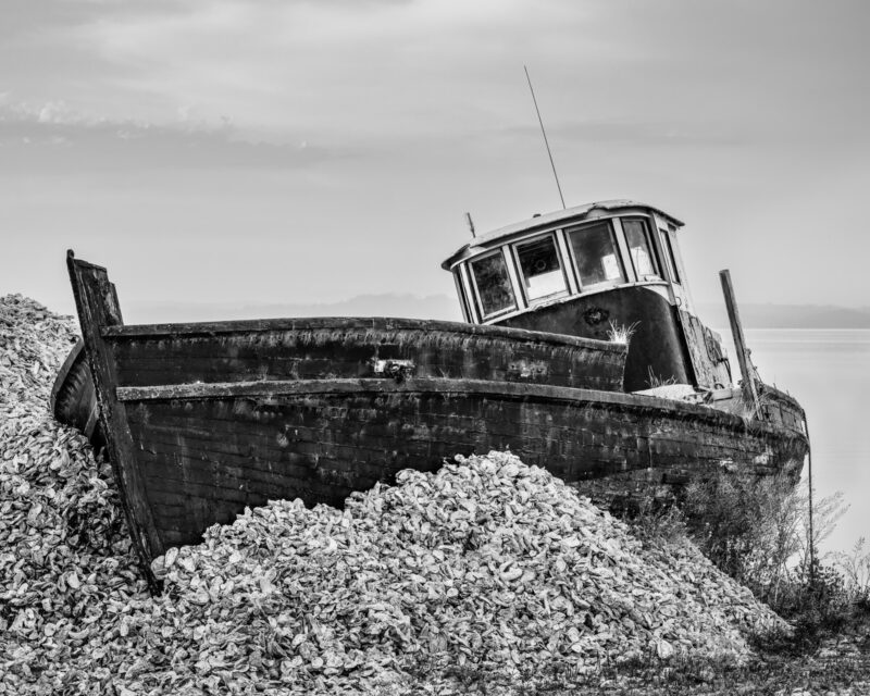 A black and white photograph of a oyster boat grounded along the Willapa Bay coast at Bay Center, Washington.