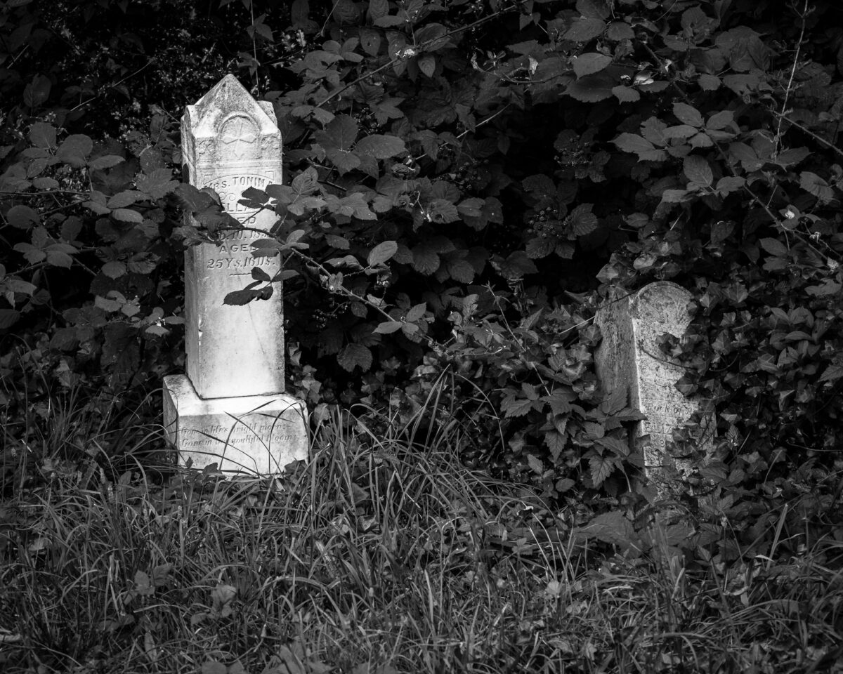 Image 13 of a series of 13 black and white photographs from the Pioneer Cemetery in Bay Canter, Washington.