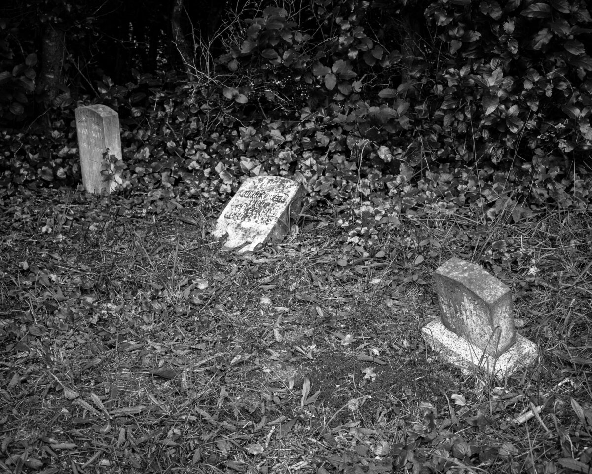 Image 3 of a series of 13 black and white photographs from the Pioneer Cemetery in Bay Canter, Washington.
