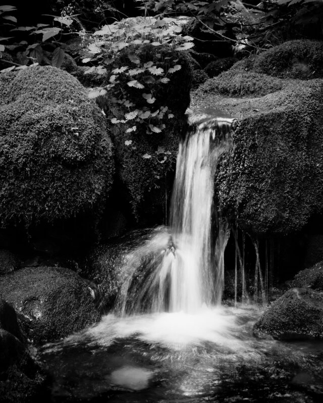 A black and white intimate landscape photograph of a small cascade along the upper Skookum Creek near Greenwater, Washington.