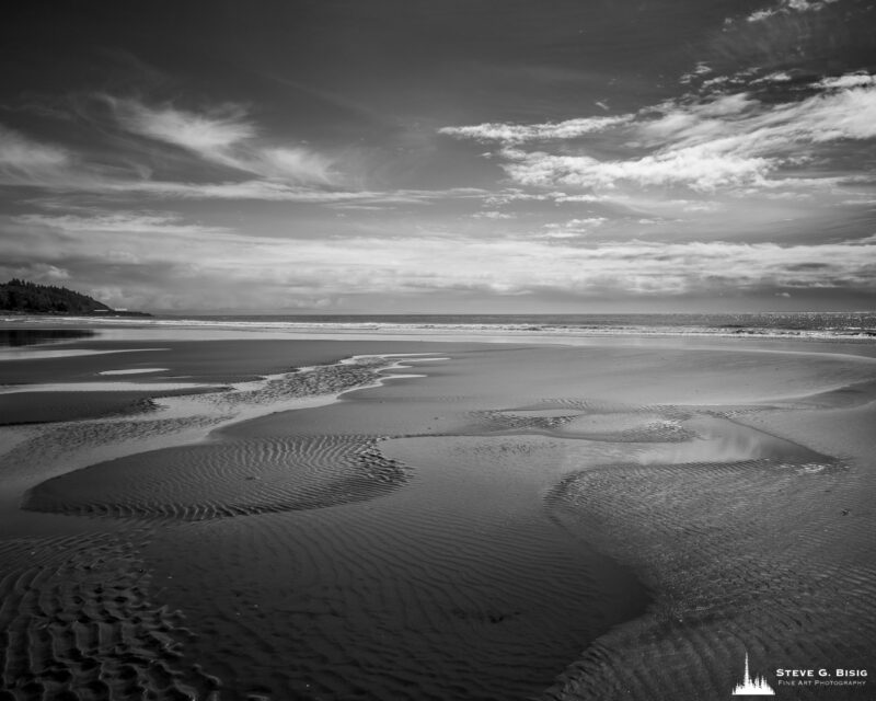 Image 1/8 of a black and white landscape photography project captured along the ocean beach at North Cove, Washington.