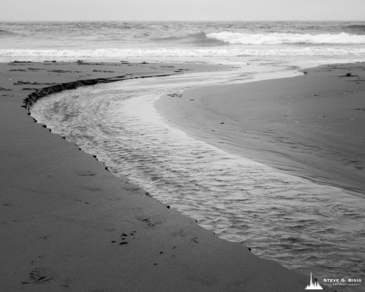 Image 2/8 of a black and white landscape photography project captured along the ocean beach at North Cove, Washington.