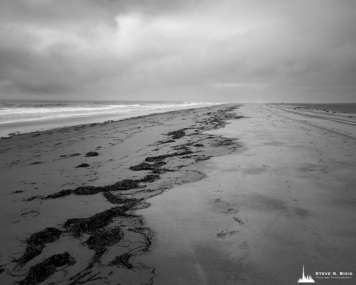 Image 3/8 of a black and white landscape photography project captured along the ocean beach at North Cove, Washington.