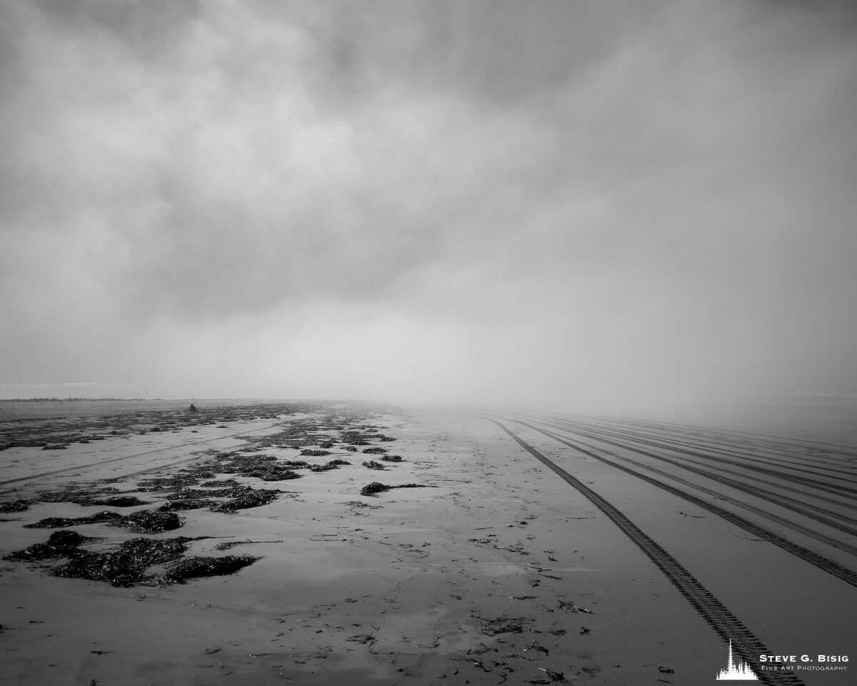 Image 4/8 of a black and white landscape photography project captured along the ocean beach at North Cove, Washington.