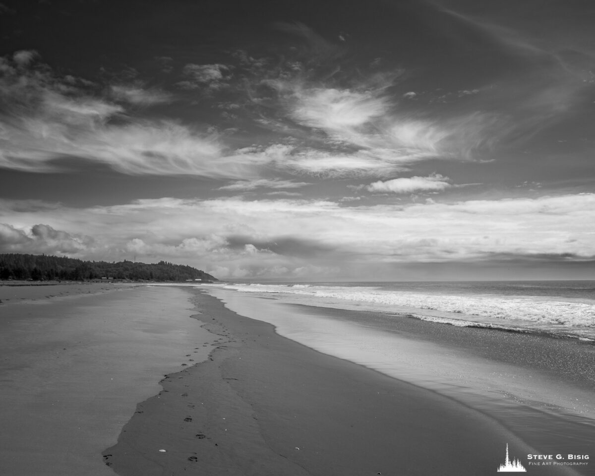 Image 7/8 of a black and white landscape photography project captured along the ocean beach at North Cove, Washington.