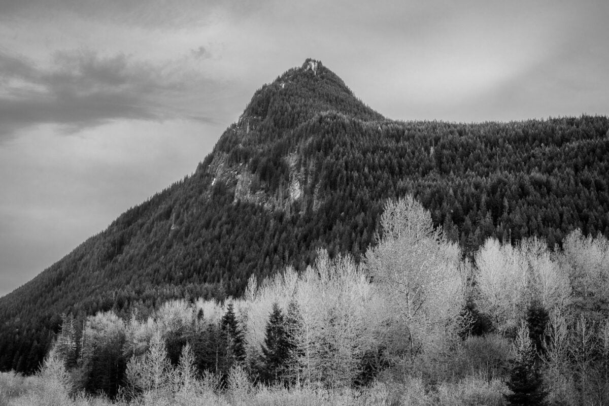A black and white landscape photograph of the spring forest and Tongue Mountain (elevation 4836 ft) in the Gifford Pinchot National Forest near Randle, Washington.