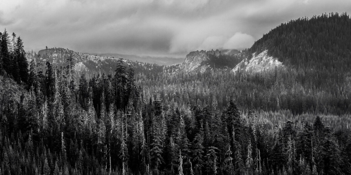 A black and white panoramic landscape photograph of the Elk Creek Valley along Gifford Pinchot National Forest FR2551 near Elk Pass in Skamania County, Washington