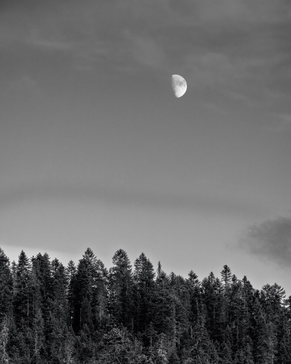 A black and intimate landscape photograph of the moon over the forest along Gifford Pinchot National Forest FR2551 near Elk Pass in Skamania County, Washington.