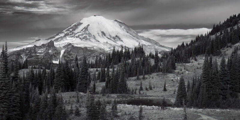 Alpine Meadows, Mt. Rainier, Washington, 2022