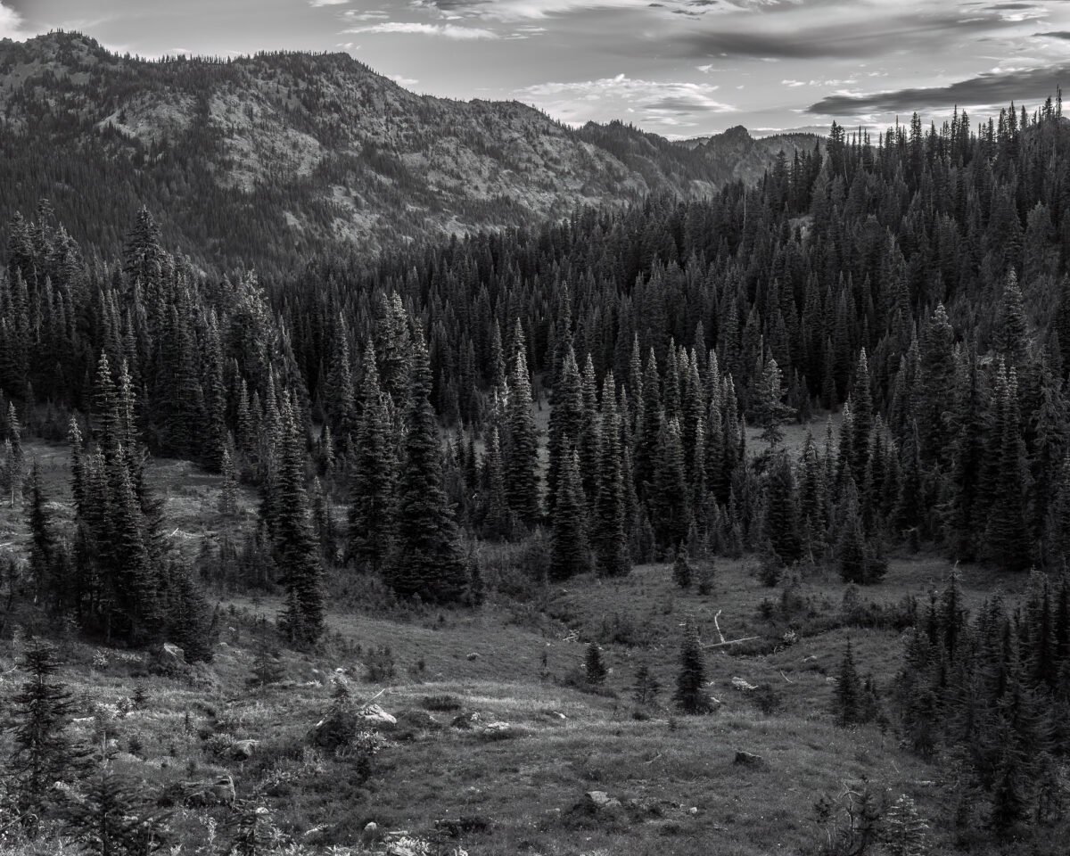 A black and white landscape photograph of the alpine meadows along the Naches Peak Loop trail near Chinook Pass, Washington.