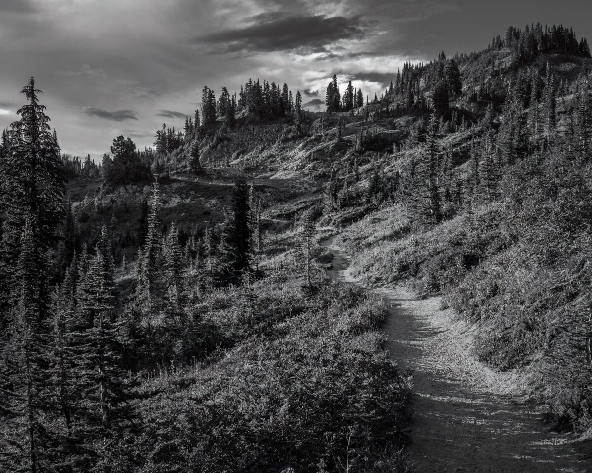 A black and white landscape photograph of the alpine meadows as the Naches Peak Loop trail climbs over a ridge near Chinook Pass, Washington.