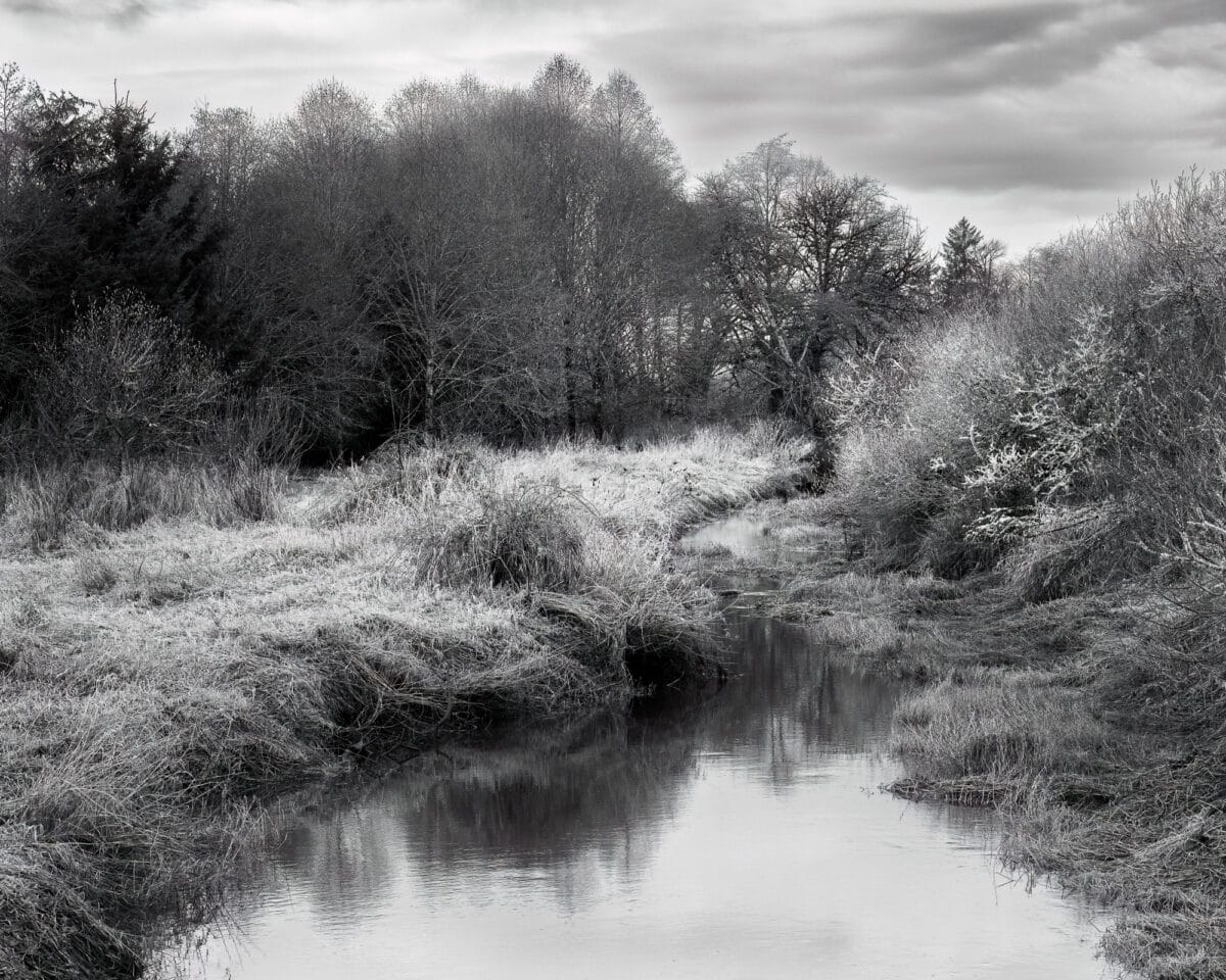 A black and white landscape photograph of Metcalf Slough in rural Grays Harbor County, Washington.