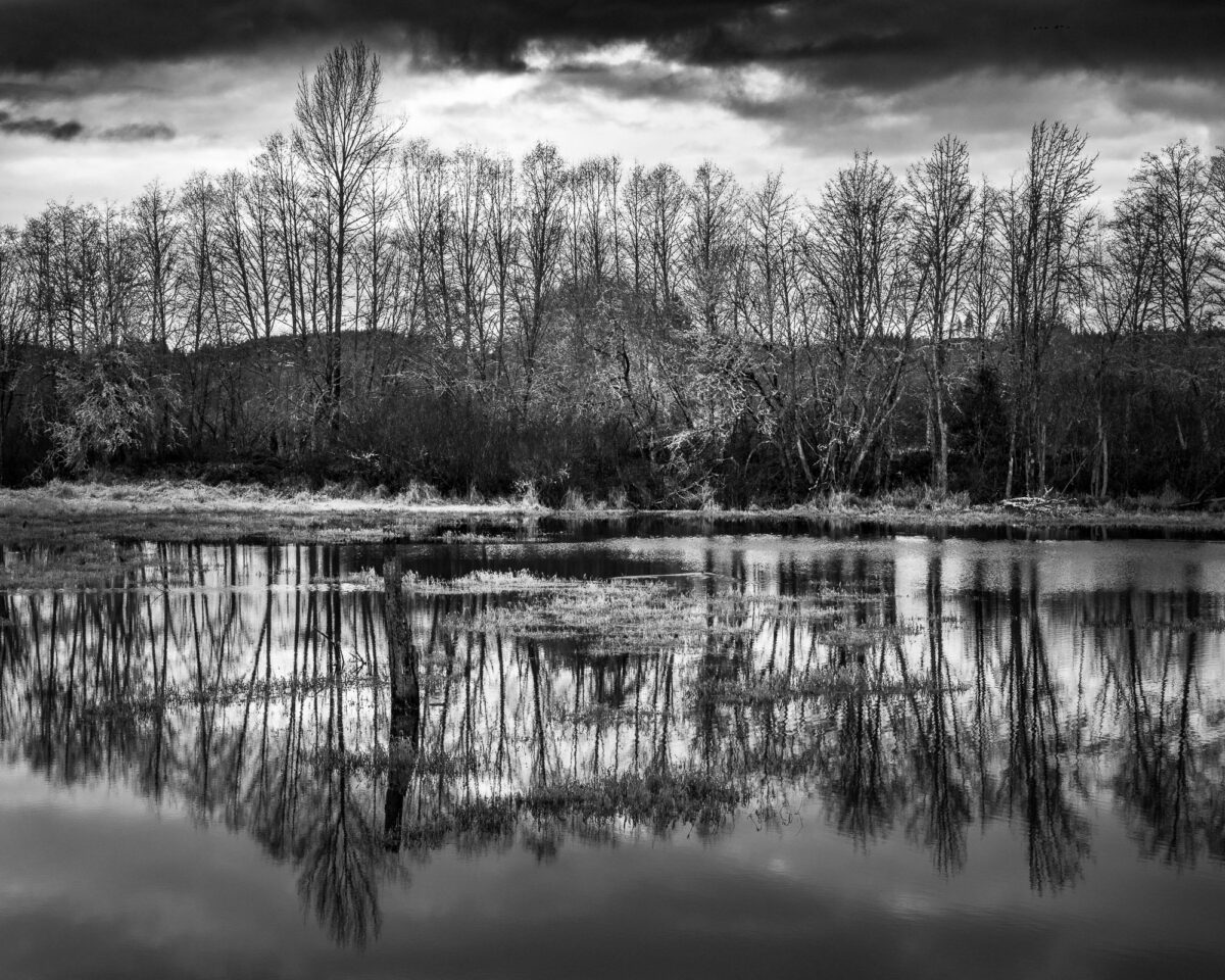 A black and white landscape photograph of a seasonal pond in rural Grays Harbor County, Washington.