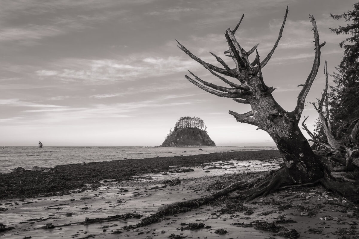 A black and white photograph of the Pacific Ocean during a Winter low tide at Cape Alava along the Washington state coast in the Olympic National Park, Washington.