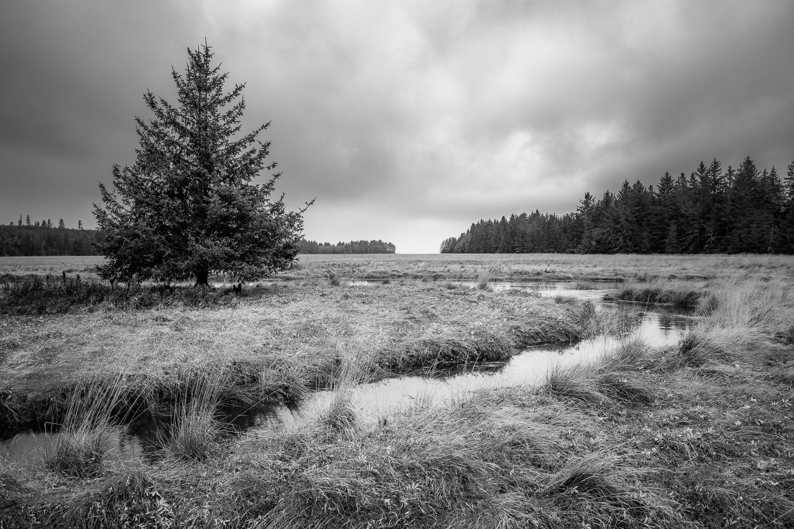 A black and white landscape photograph of the Middle Nemah River estuary along Willapa Bay in rural Pacific County, Washington.