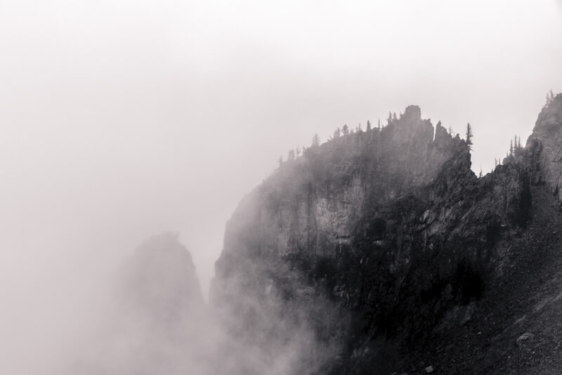 Foggy Alpine Landscapes No. 1, Mt Rainier National Park, Washington, 2014