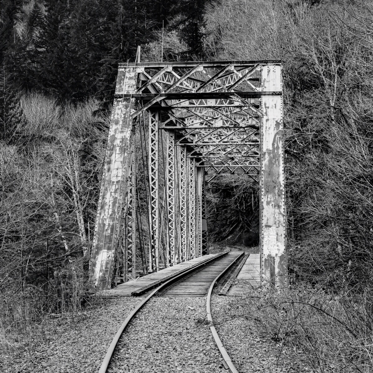 Immerse yourself in the captivating allure of the "Old Steel Railroad Bridge" as it spans the Nehalem River in scenic Oregon. This black and white intimate landscape photograph showcases the bridge's timeless beauty, revealing its weathered steel structure against the picturesque backdrop of the spring forest. The monochrome tones evoke a sense of nostalgia, inviting you to explore the rich history and tranquility of this iconic landmark nestled in the heart of northwestern Oregon.