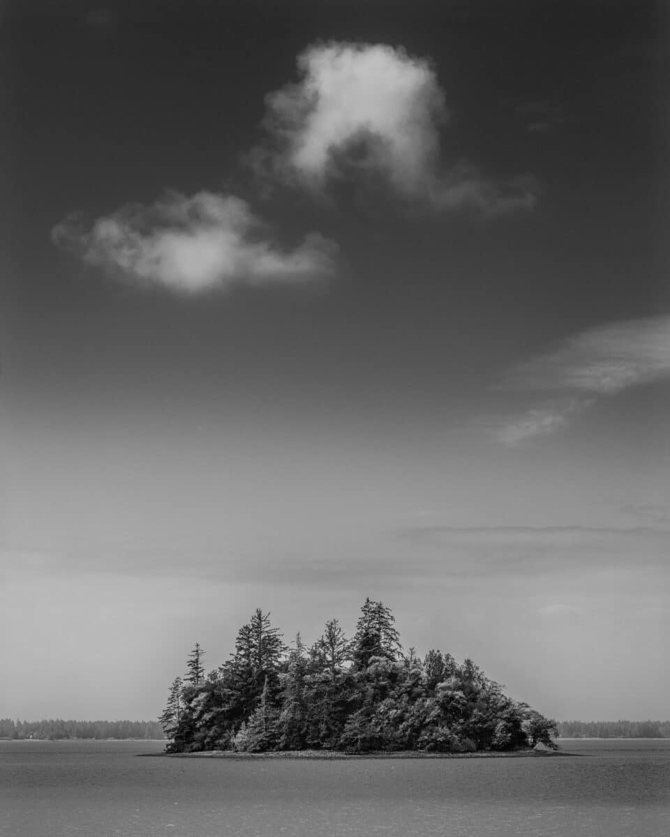 Behold the allure of Round Island, Washington, in this black-and-white landscape photograph. Willapa Bay's tranquil waters paint a scene of serenity, while the stark contrast of tones accentuates diverse textures and elements.