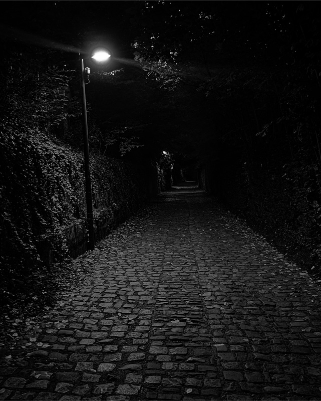 Darkness Along a Cobblestone Path