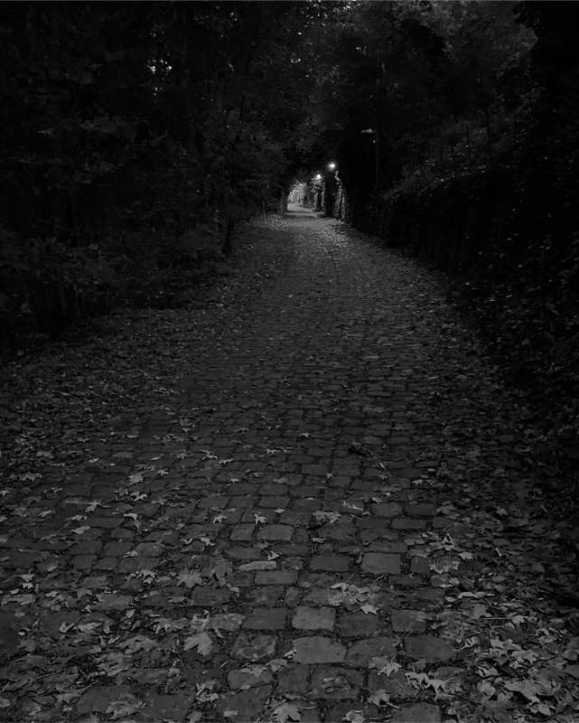 Darkness Along a Cobblestone Path