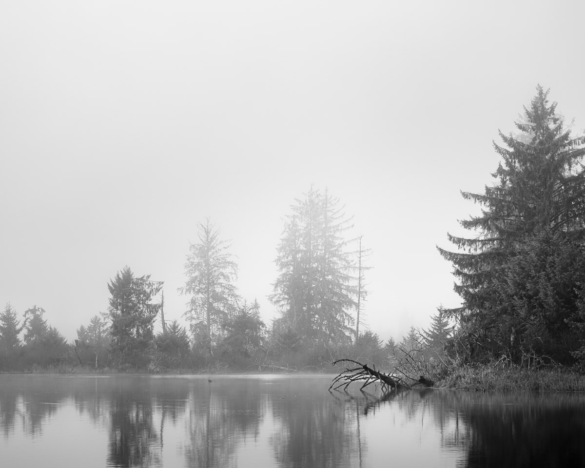 As autumn breathes its last sigh, a thick fog blankets the Willapa River near Raymond, Washington. In this black and white portrayal, every tree and reflection tells a story of seasonal transition.