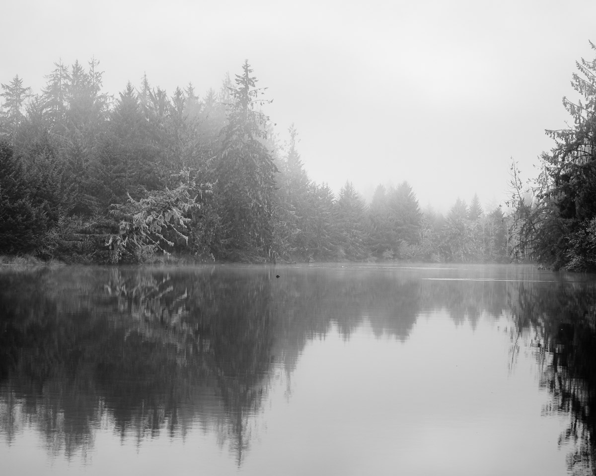 A serene and mystical atmosphere envelops the Willapa River as the fog dances around the towering trees. The last day of autumn whispers goodbye, painting a monochromatic masterpiece that mirrors the silent beauty of nature.