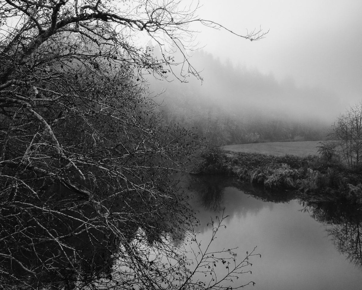 A misty morning along the Willapa River, captured in grayscale to emphasize the tranquil and mystical atmosphere. The bare branches of a tree reach out over the calm waters, reflecting the silhouetted landscape. The fog gently blankets the distant woods and fields, adding a touch of mystery to this peaceful scene.