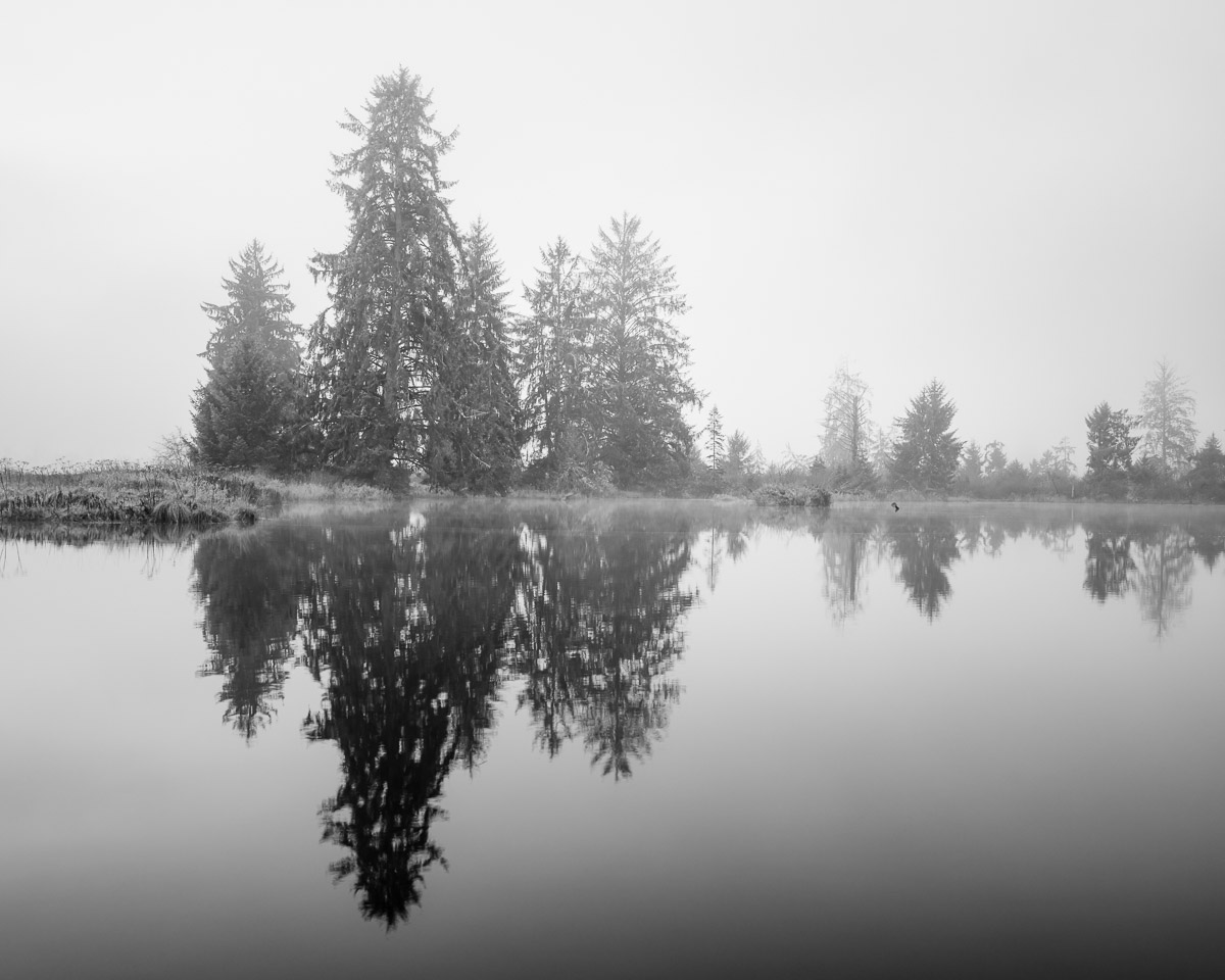 A serene black and white capture of the Willapa River, where the silhouettes of trees are gracefully mirrored on the water’s calm surface. The foggy atmosphere adds a mystical touch, encapsulating the tranquil transition from autumn to winter.