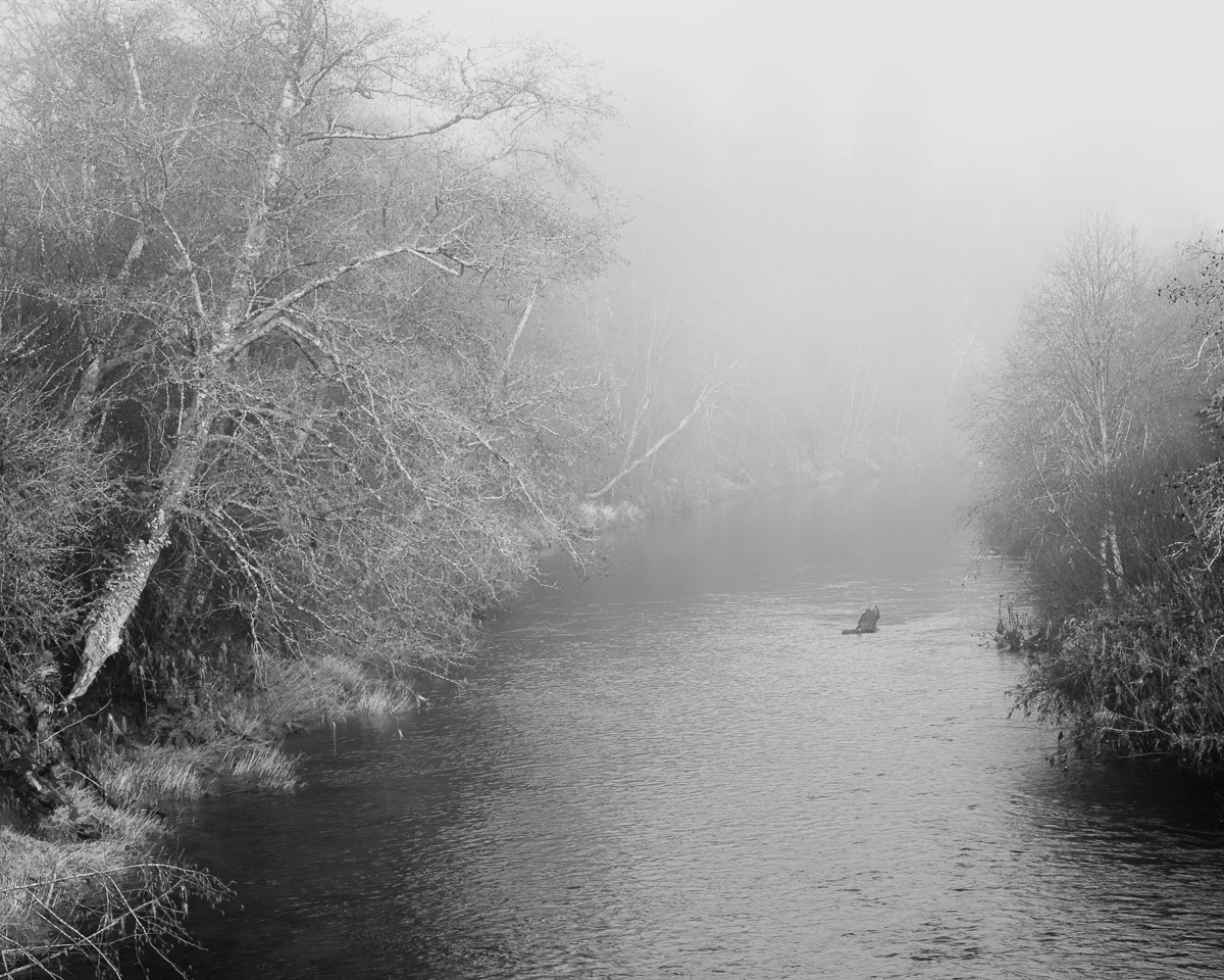 As autumn breathes its last sigh, the Willapa River is enveloped in an ethereal mist. The silhouettes of barren trees tell tales of a season that has painted its final masterpiece. Amidst this grayscale landscape lies an unspoken promise of renewal.