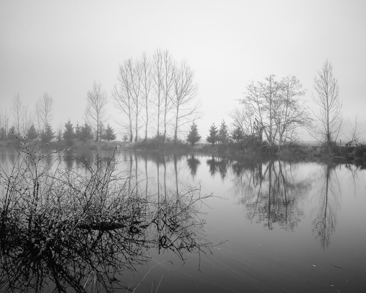 As autumn breathes its last sigh, a foggy mist shrouds the Willapa River in mystery. The stark silhouettes of trees reflect upon calm waters, echoing the silent change of seasons.