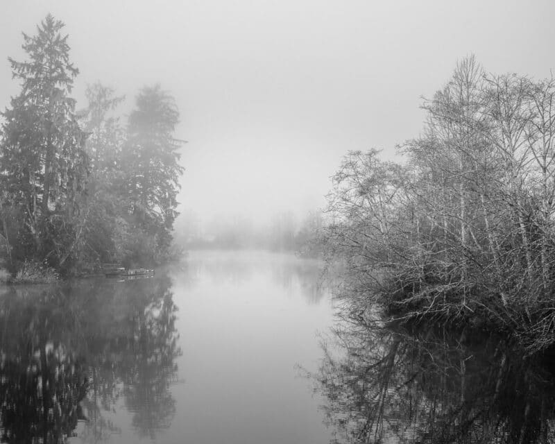 Chasing Fog on the Willapa River: A Photo Adventure