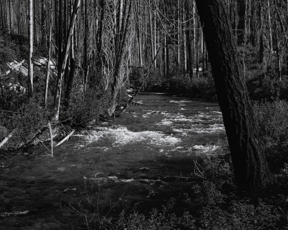 This black and white intimate landscape photograph captures the Entiat River’s enduring flow through a landscape still bearing the scars of the 2015 Wolverine Fire in Washington State. The contrast between the vibrant river and the stark, fire-damaged trees tells a story of nature’s slow but steadfast recovery. Fresh growth along the riverbanks hints at the ecosystem’s gradual healing, which requires patience and understanding. The rushing water symbolizes the constant force of renewal, even in the face of devastation, as a reminder of the forest’s resilience and the intricate dance between destruction and regeneration in wild spaces.