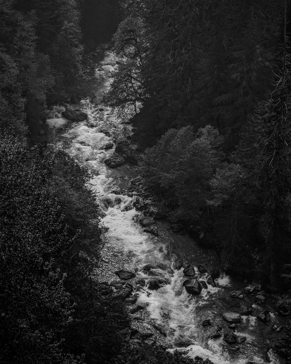 The Cascade River, a testament to nature's enduring power, winds through Washington's North Cascades. Its rushing waters cut through the forest with quiet persistence. Shadows from the trees cast a moody, serene atmosphere, evoking a sense of solitude and timelessness. The river reminds us of nature's resilience, a connection we all share.