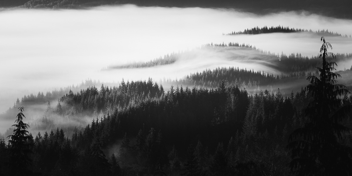 Fog's Gentle Waves, Km Mountain, Washington