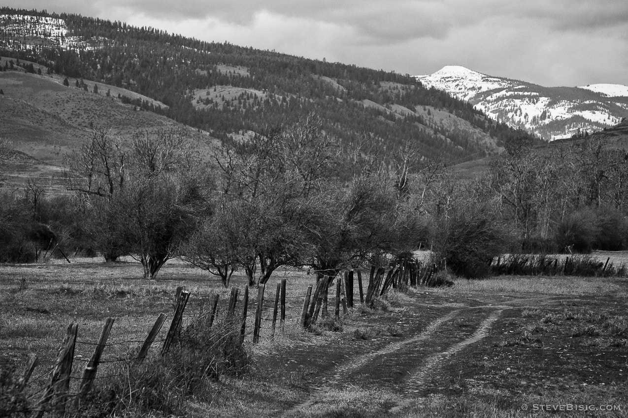A black and white photograph of a double-track road leading into a pasture along Bar 14 Road in Kittitas County near Ellensburg, Washington.