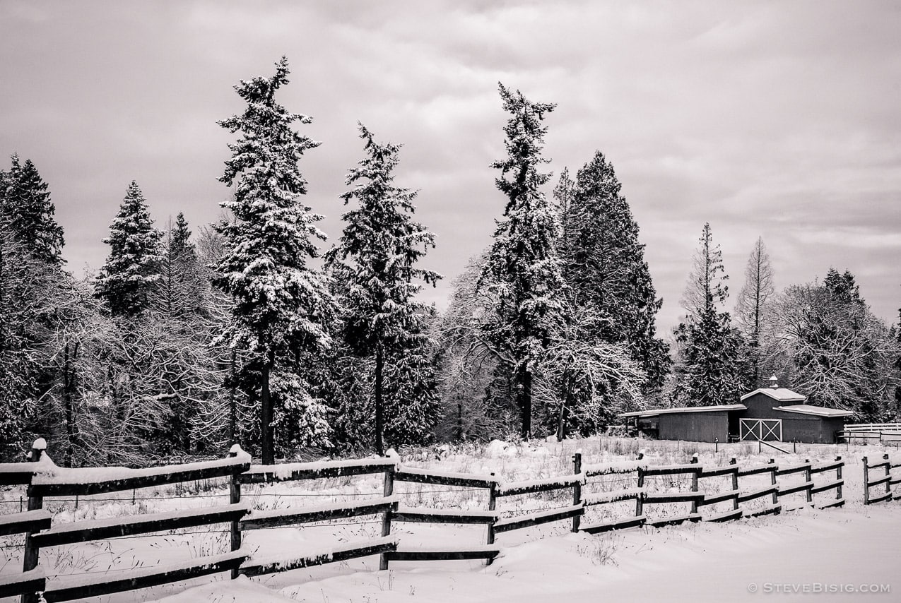 A black and white photograph of a field, barn and fence in the snow in Edgewood, Washington. 