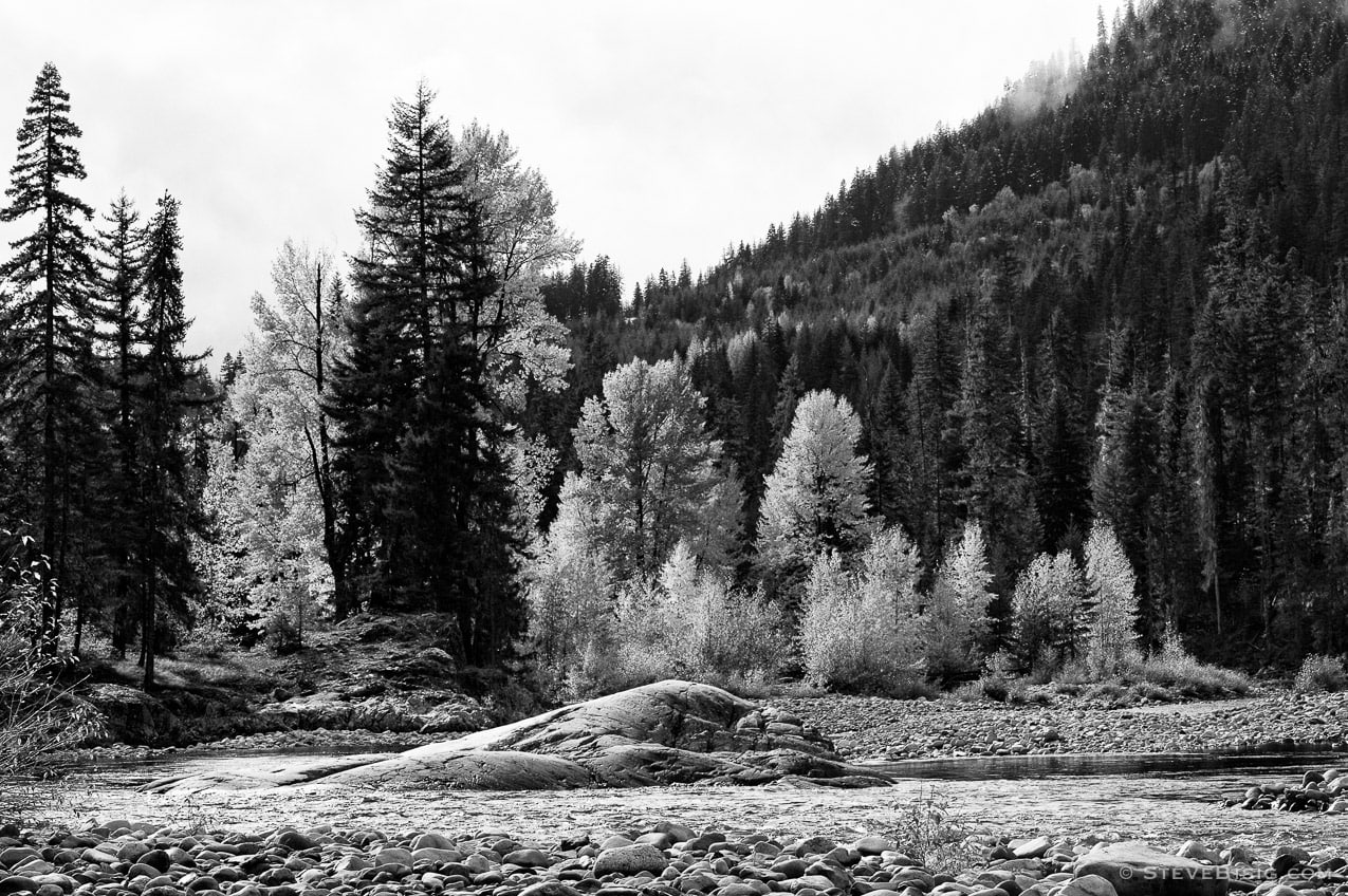 A black and white photograph of the Autumn colors on the upper Cle Elum River near Salmon la Sac in Kittitas County, Washington.