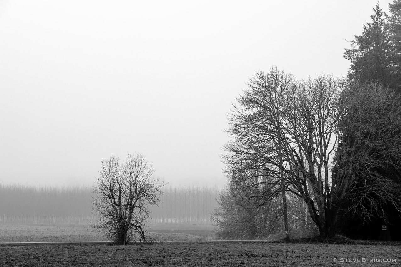 A black and white photograph of farmlands on a foggy Winter day along State Route 6 in Lewis County near Chehalis, Washington.