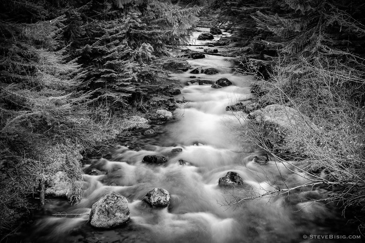 A black and white photograph of Huckleberry Creek in Pierce County, Washington just outside Mount Rainier National Park on a late Autumn day.