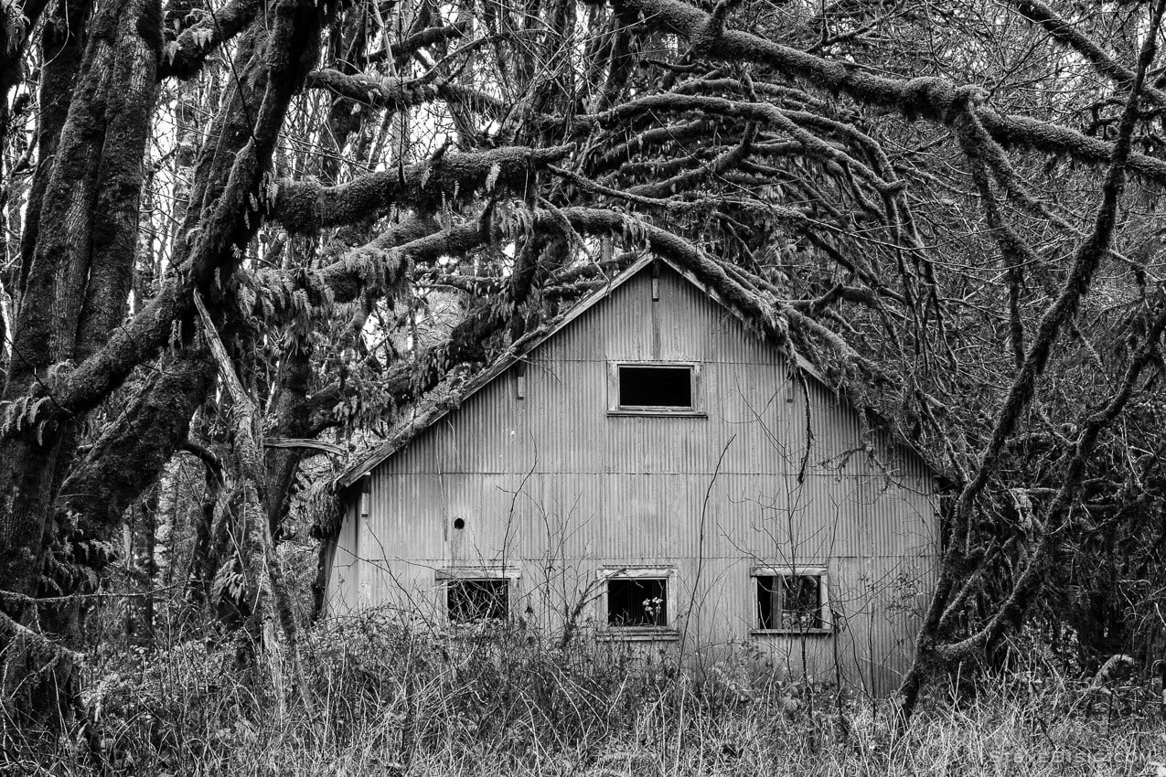 A black and white photograph of an old metal building with overhanging trees along State Route 6 in rural Lewis County near Dryad, Washington.